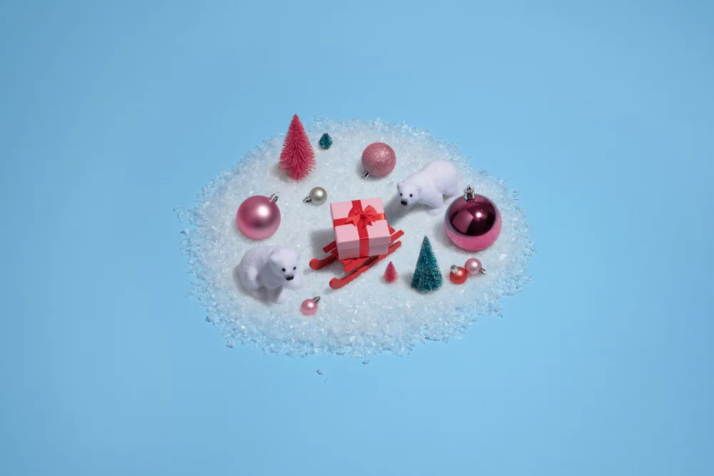 Ramiro, Julia: Winterwunderland-Überraschung