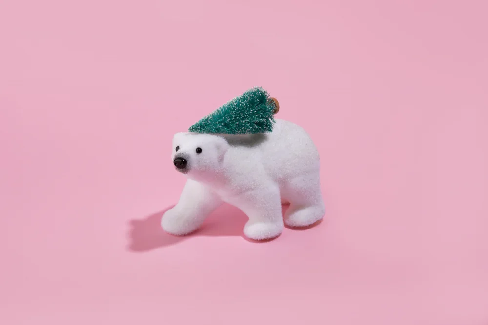 Ramiro, Julia: Den Weihnachtsbaum tragen