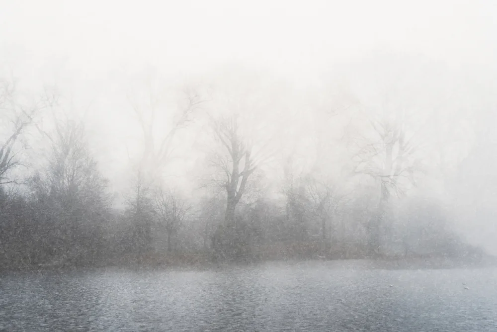Imaginative: Misty landscape