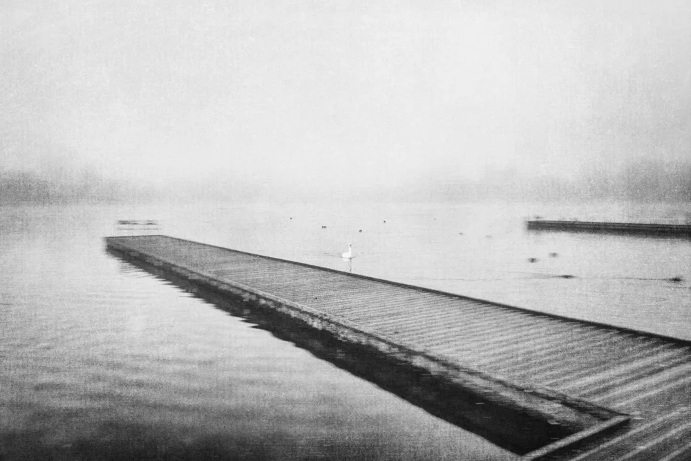 Imaginative: Landscape in the mist