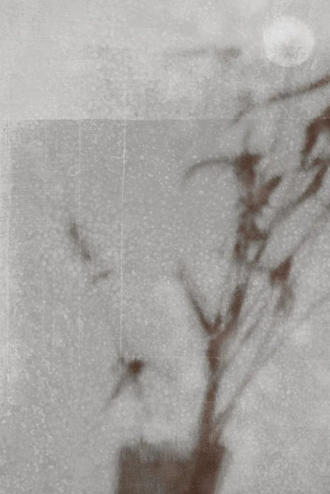 Imaginative: Botanical silhouette