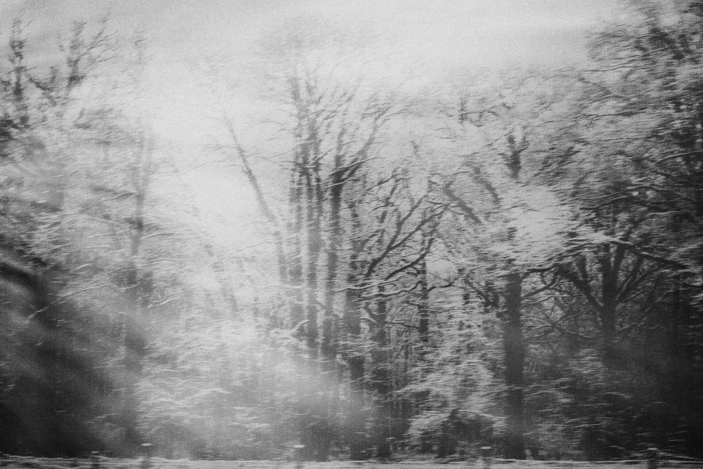 Imaginative: Drammatico paesaggio invernale