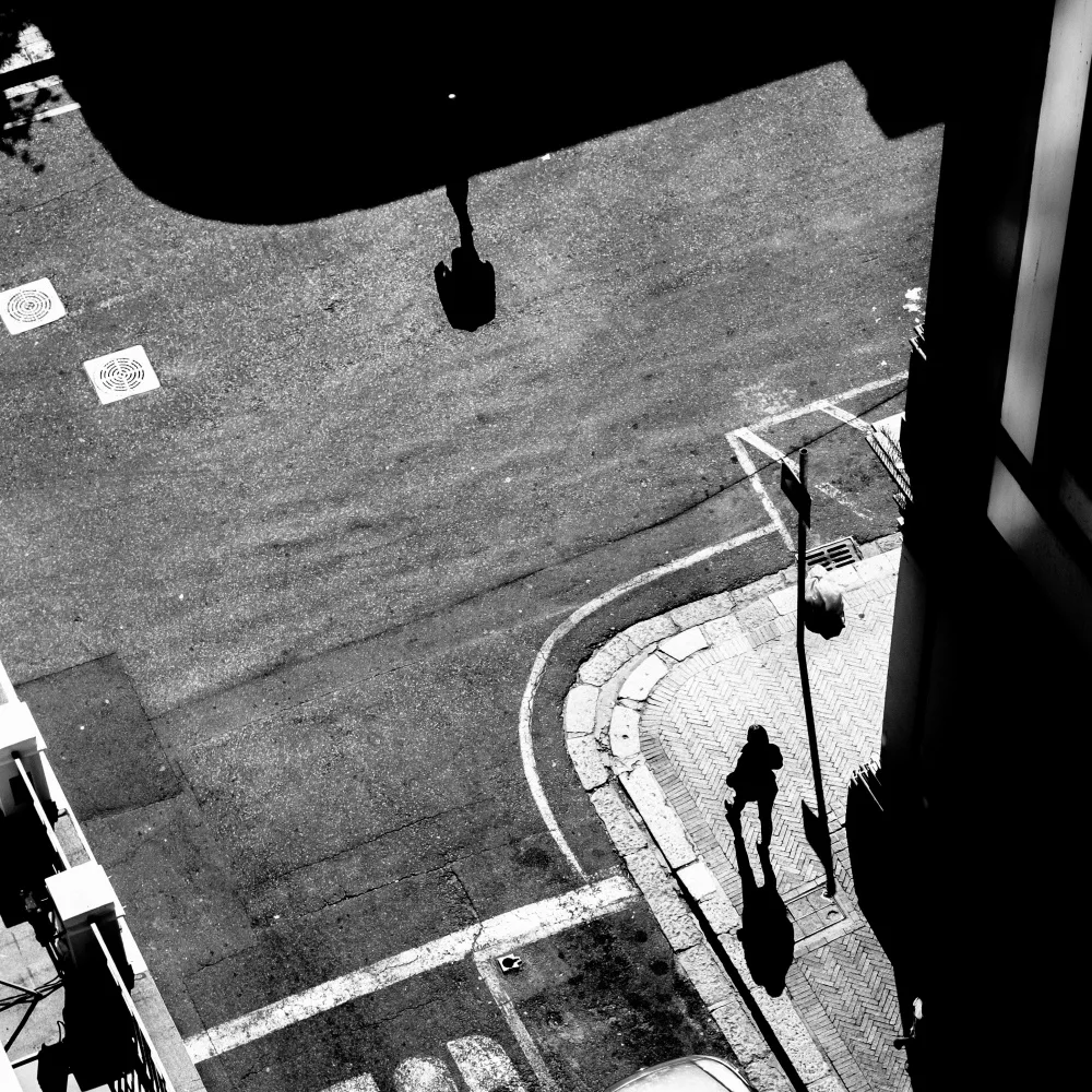 Edwards, Dan: Elevated Street