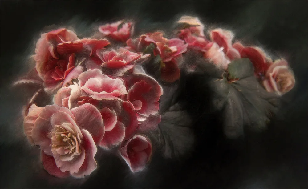Claes, Gilbert: Bellezza appassionata