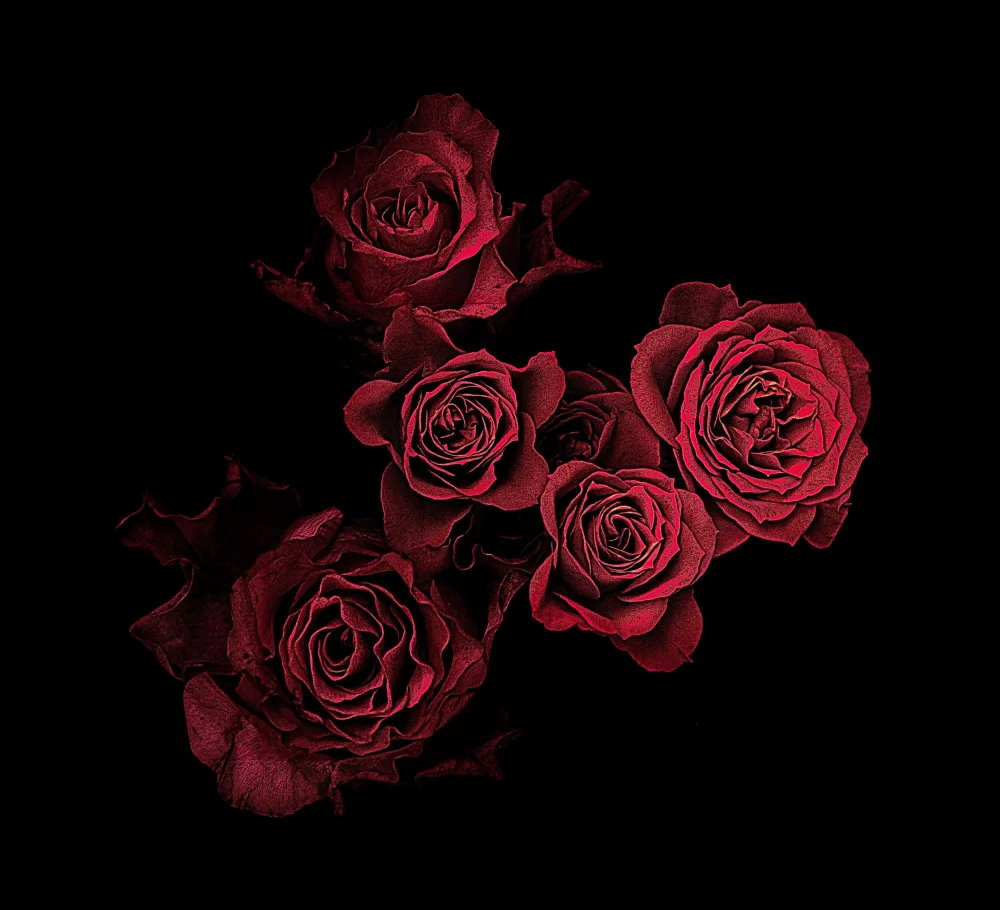 Julie, Angel: Roses