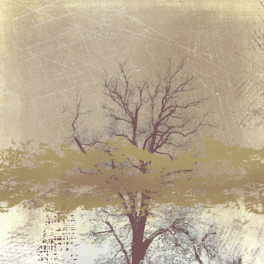 Imaginative: Dreamy landscape in winter