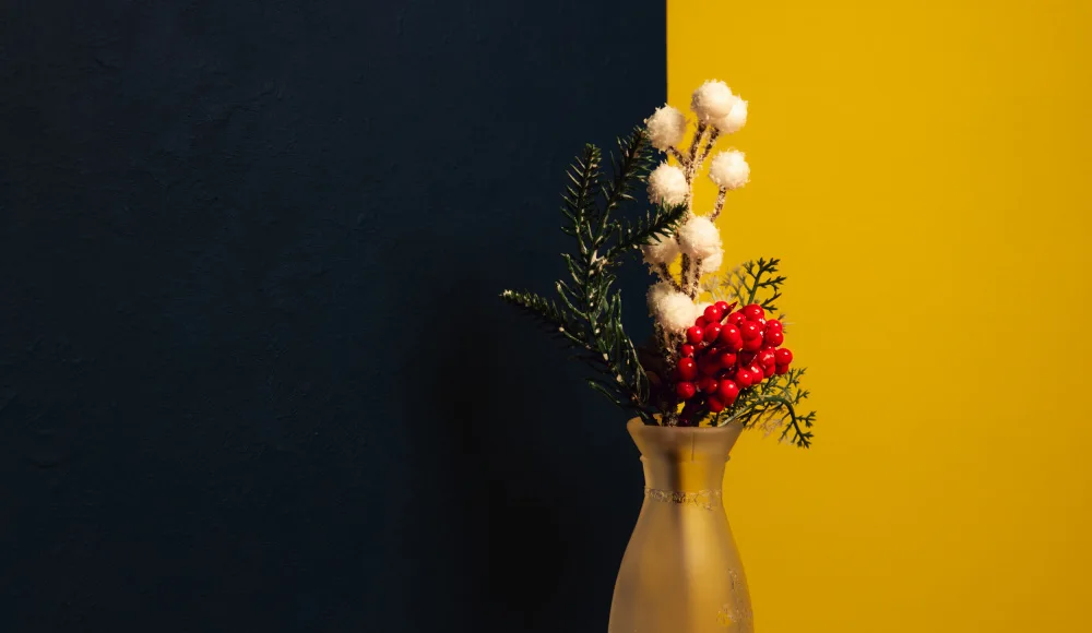 Ucar, Behlul: Buon Natale