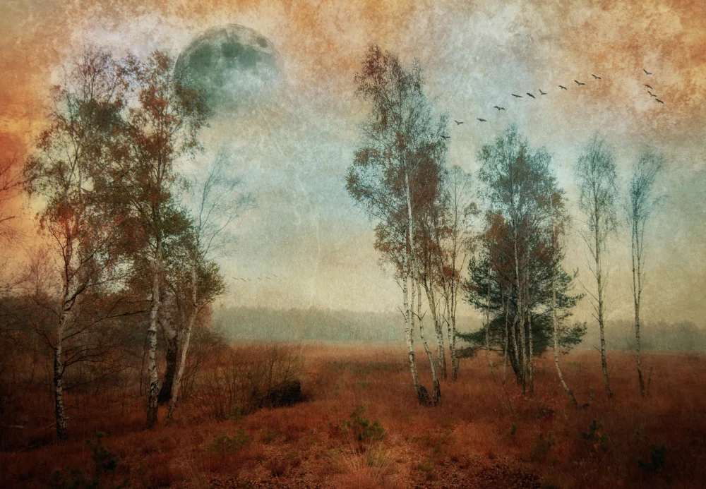 Günther, Hans: A day in the moor