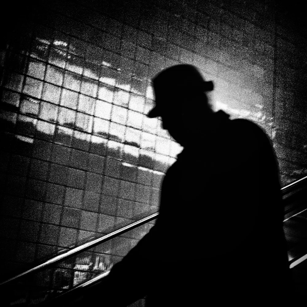 Abrantes, Paulo: Mr X