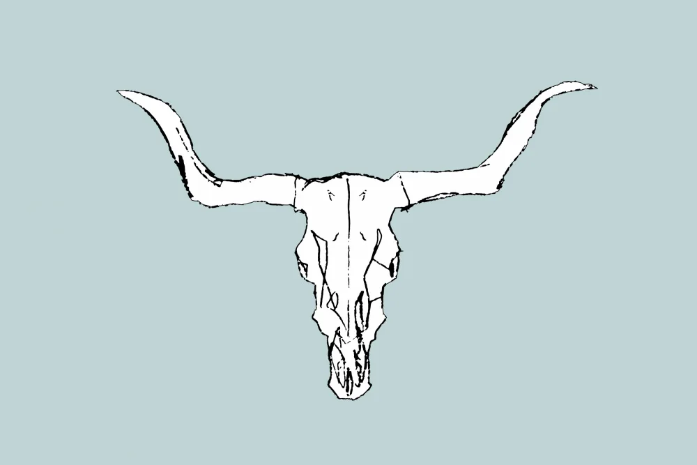 cartissi: Animal Skull No1