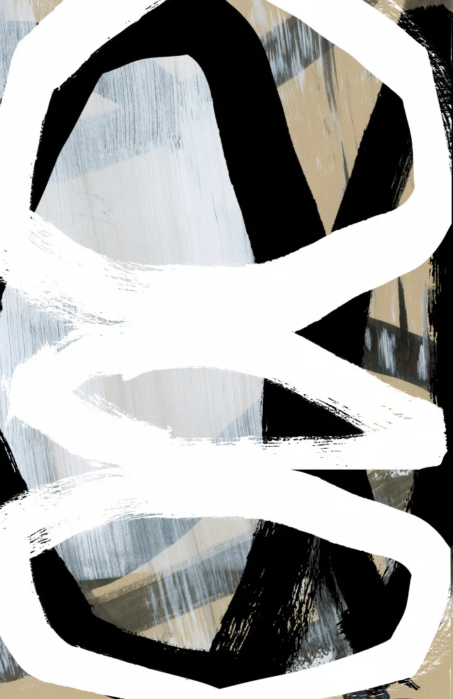 cartissi: Bold Black On White No3