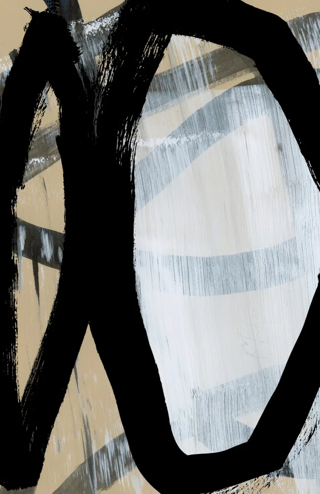 cartissi: Bold Black On White No1