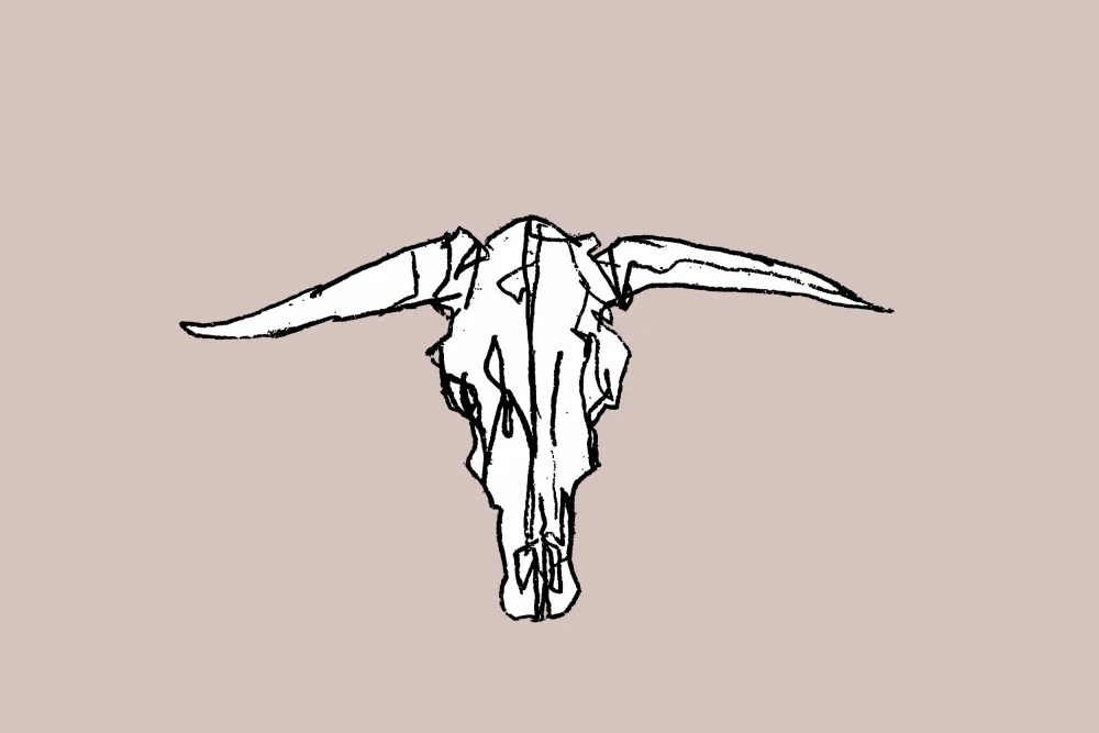cartissi: Animal Skull No3