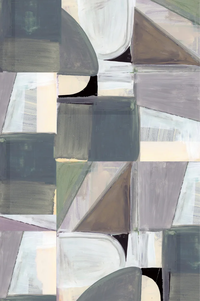 cartissi: Abstract Desaturate No2