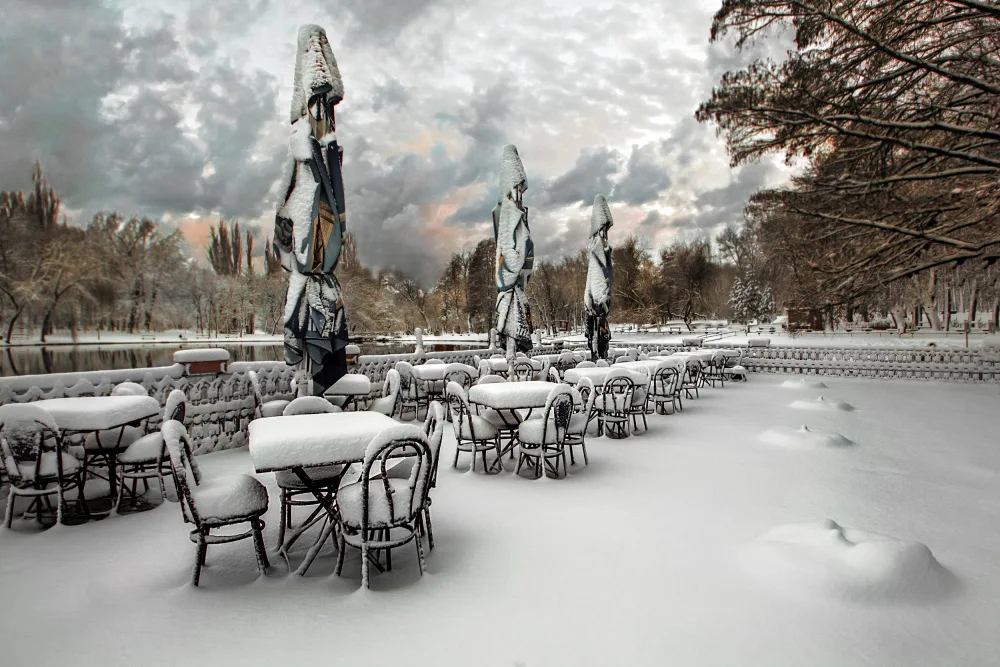 Calin, Silvia Rucsandra: Empty seats