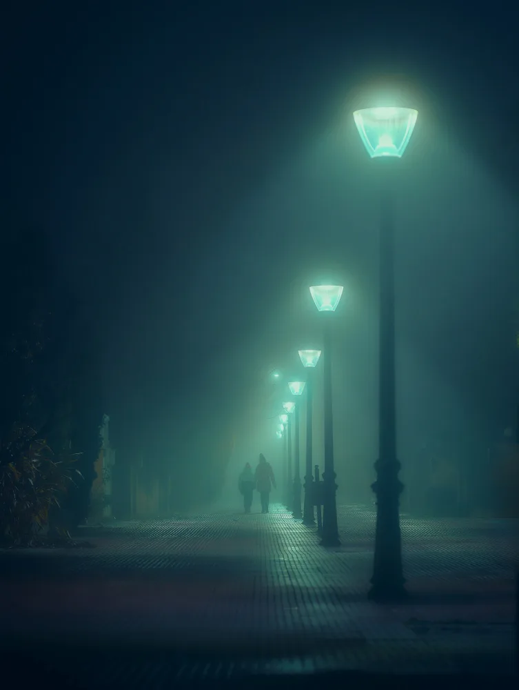 Martínez, Hernández Carlos: Into the Fog