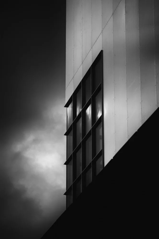 Rodgers, Ursula: The Window
