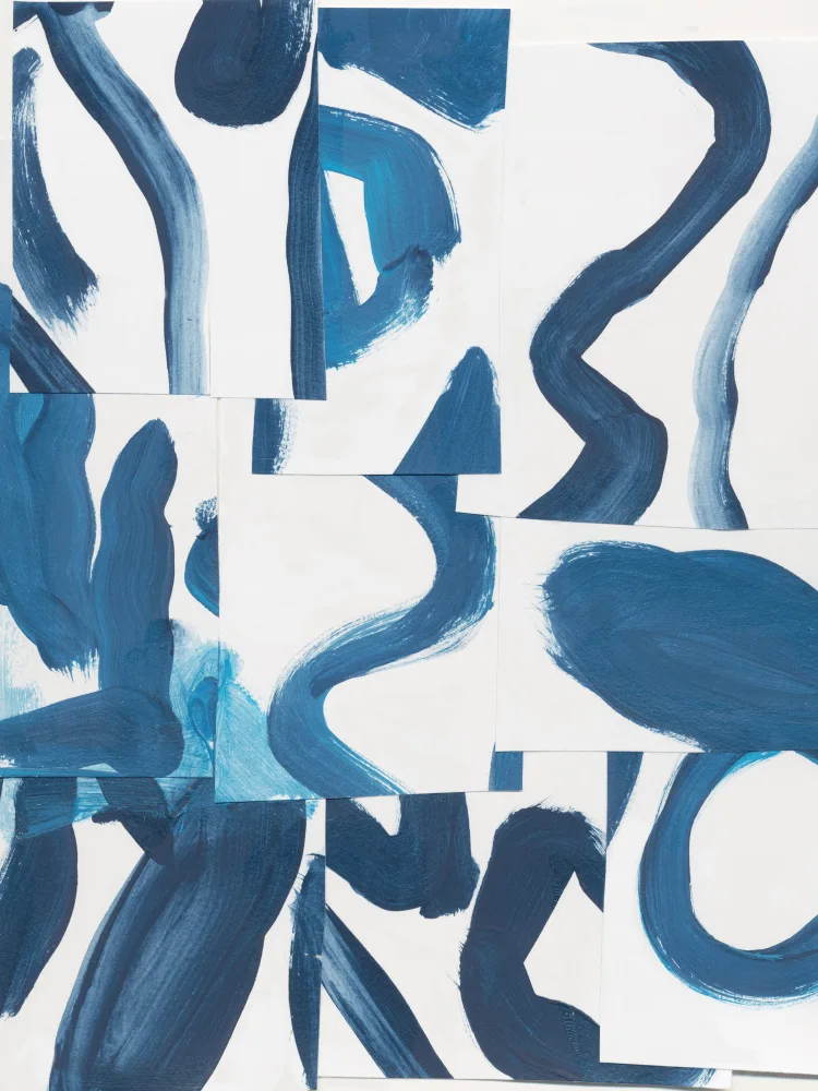 Baker, Bronwyn: Indigo Summer Camp 1