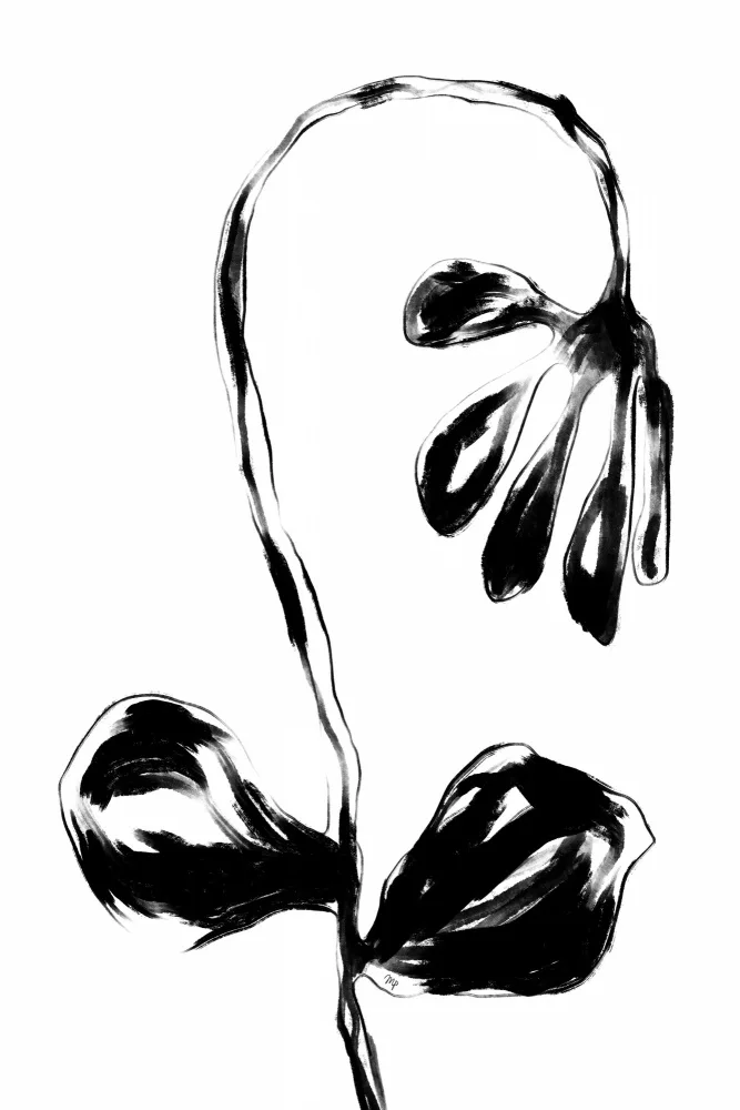 Martina: Black Flower