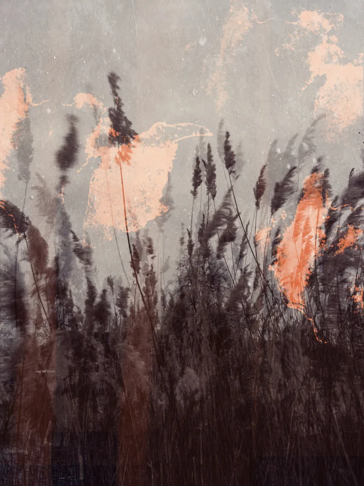 Imaginative: Dancing grass