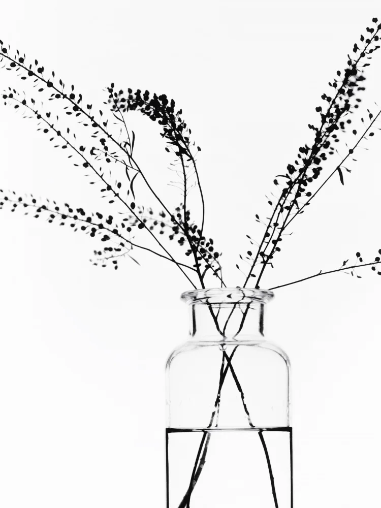 Izzard, Magda: Bottle with Branches