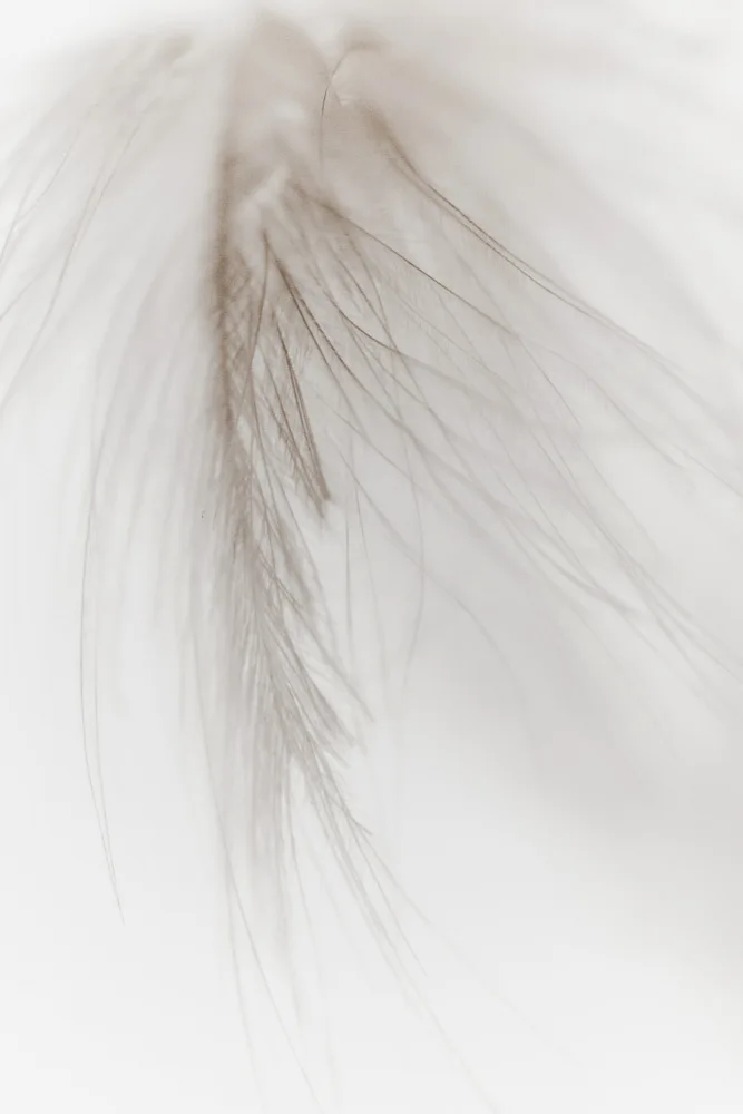 Izzard, Magda: White Feather