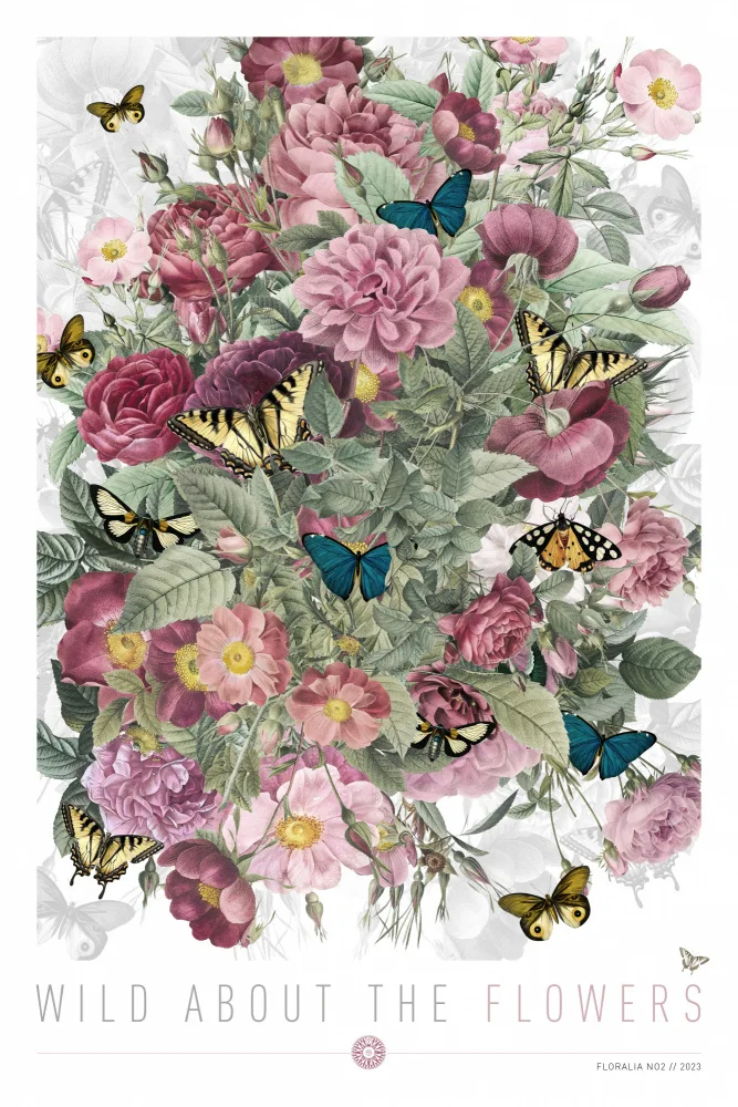 Goggin, Simon: Wild About the Flowers 2
