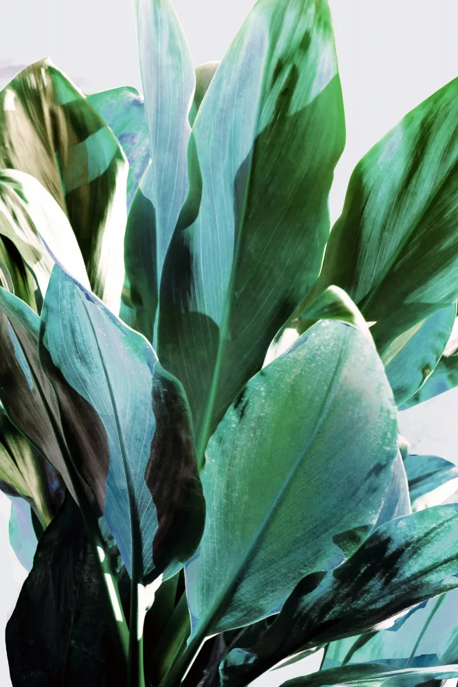 Bardot, Gemma: Green Leaves I