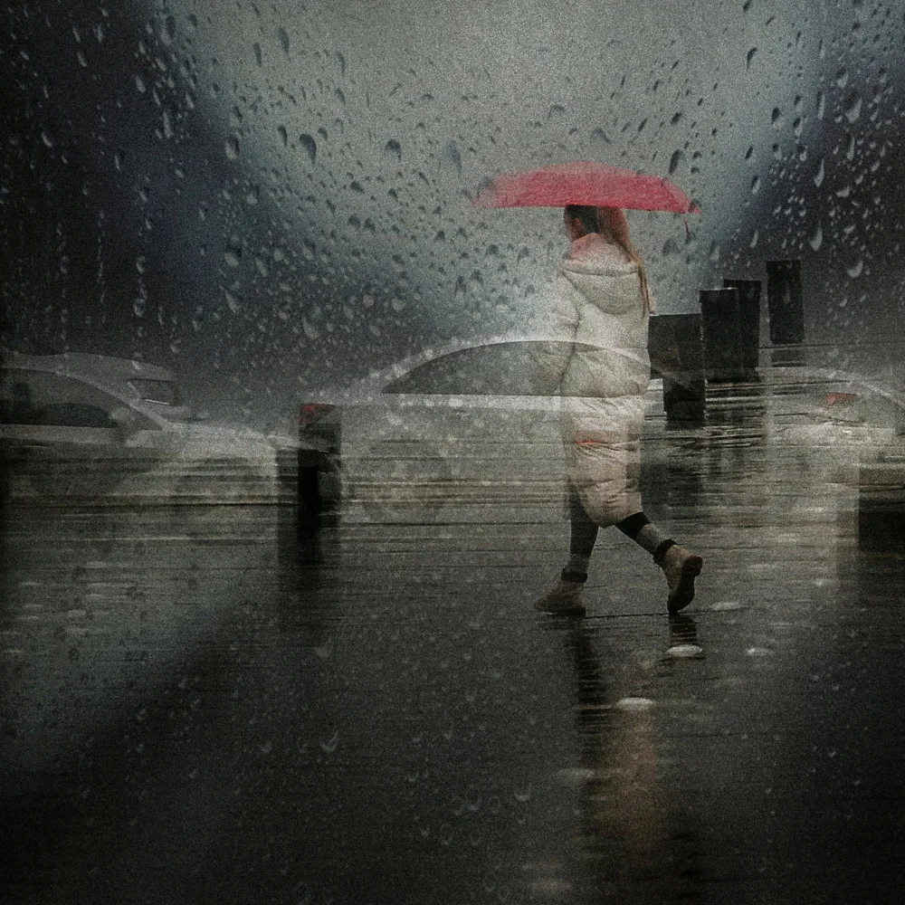 Sedevcic, Damijan: rainy day