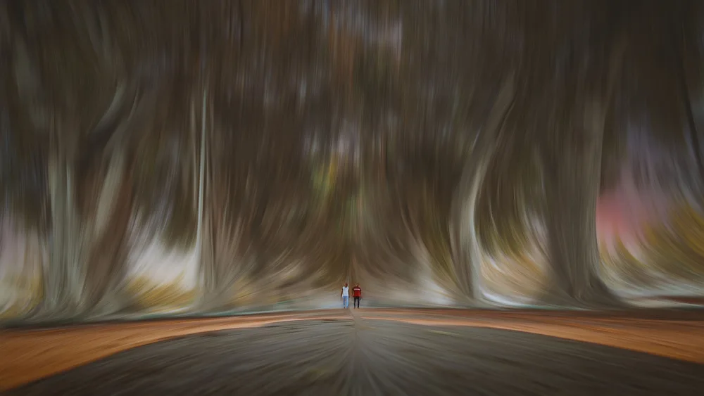 Ragab, Hesham: FOREST WALK