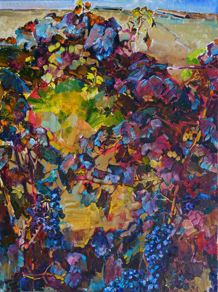 Kutsachenko, Andrii: Vineyard