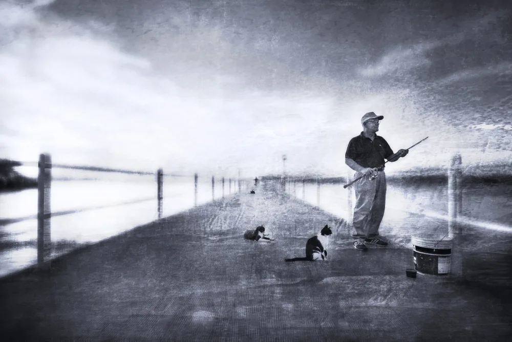 Quaglia, Nicodemo: Kittens waiting for the fisherman