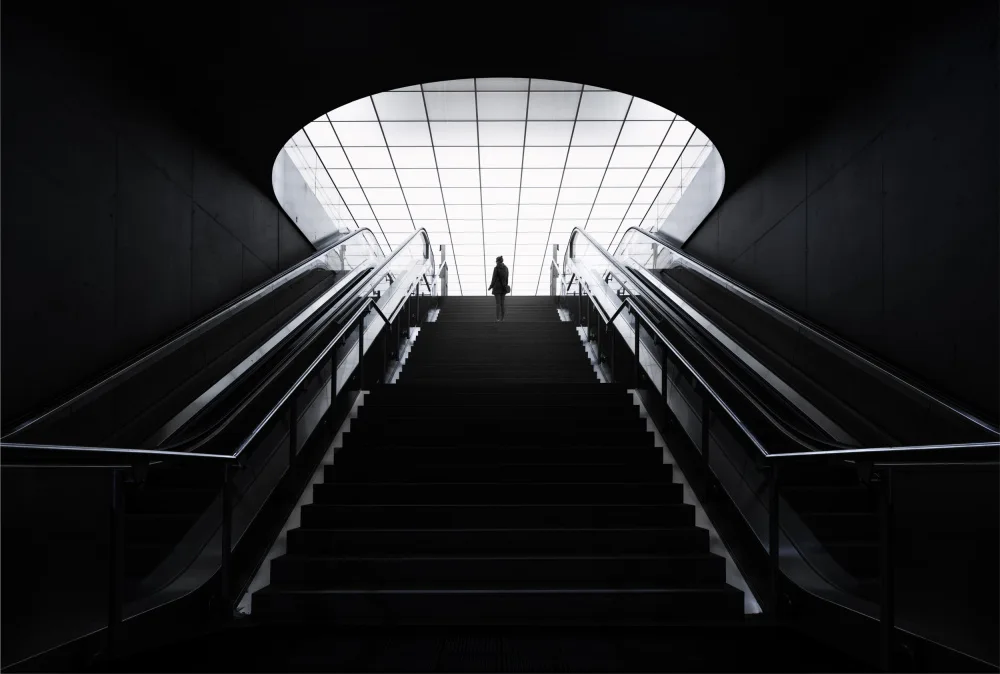 fotomarion: ins Licht