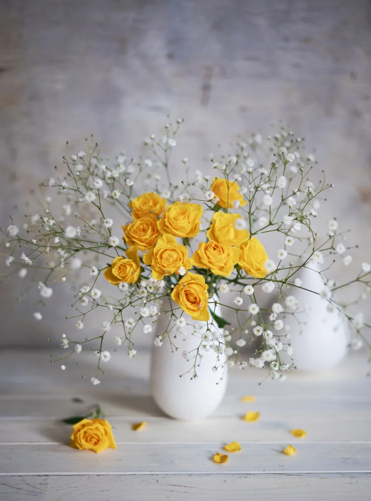 Hirai, Takiko: Yellow rose