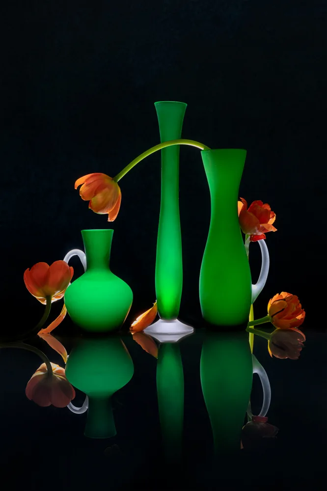 Jacobs, Lydia: Joie des tulipes orange