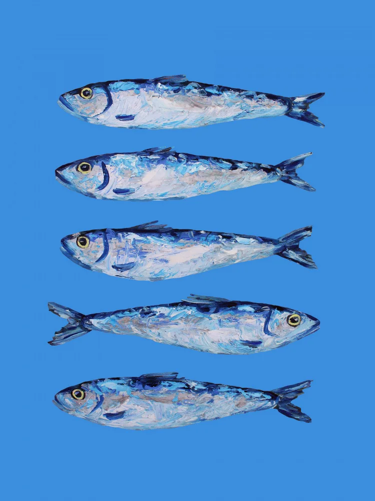 Straker, Alice: Sardines on Blue
