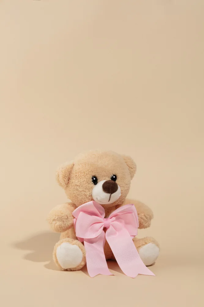 Ramiro, Julia: Teddybär mit rosa Schleife