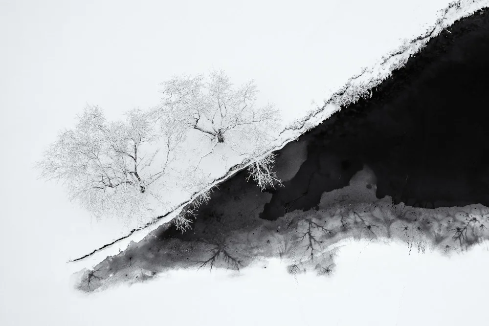Xu, Mei: Winter Symmetry