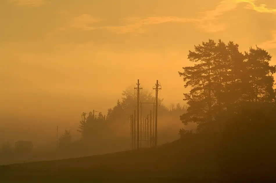Wallberg, Allan: Morgennebel.