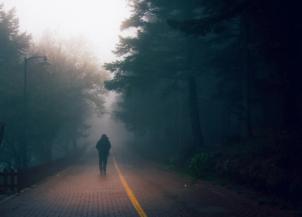 Sahin, Ramiz: Minimal story...