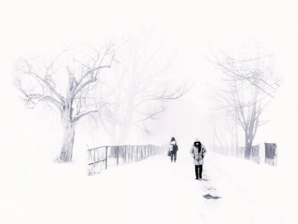 Jasmine: Winter Conditions