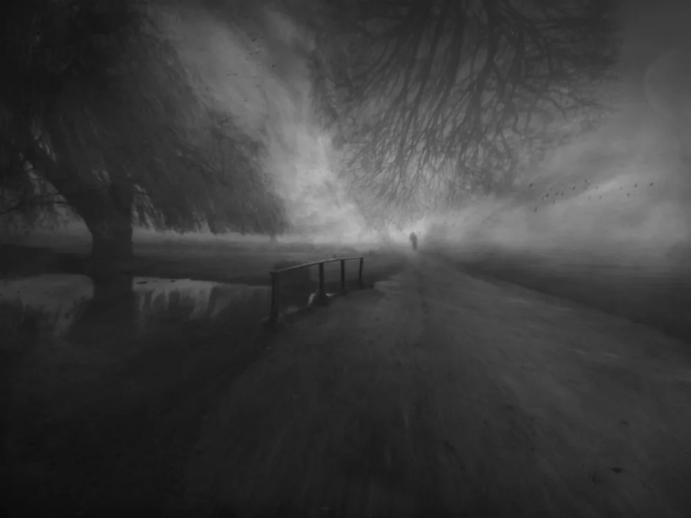 Fabrowski, Robert: Black and White Evening...