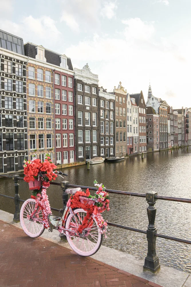 Schenk, Henrike: Amsterdam