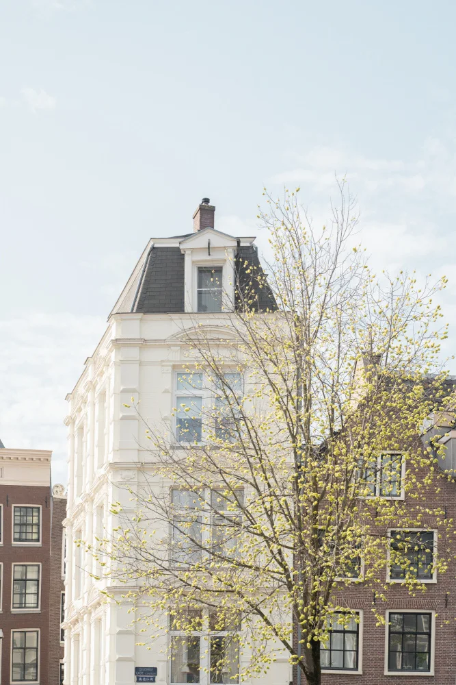 Schenk, Henrike: Spring In Amsterdam