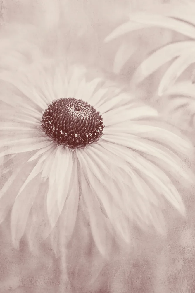 Parker, Jacky: Reminiscence