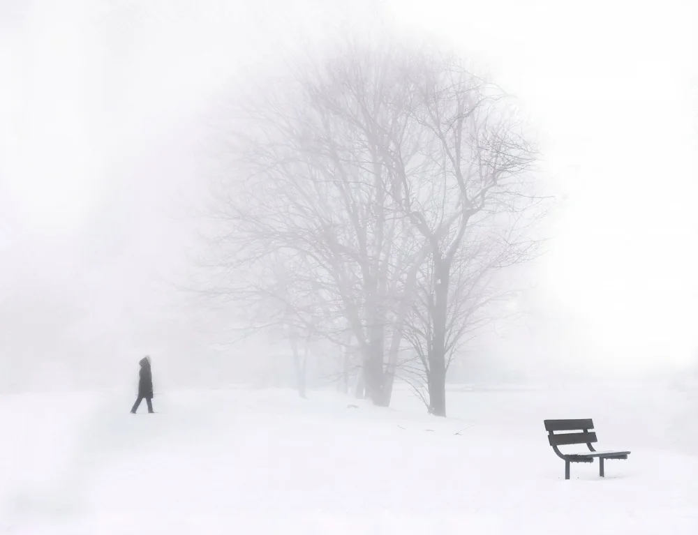 Jasmine: Alone in the Fog