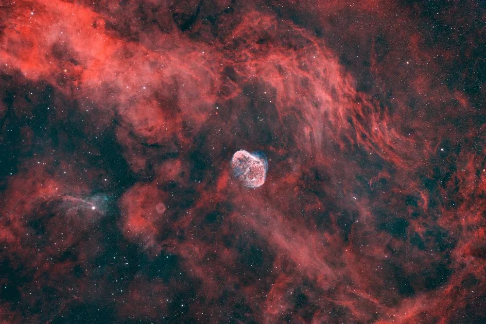 Chander, Vikas: The Crescent Nebula