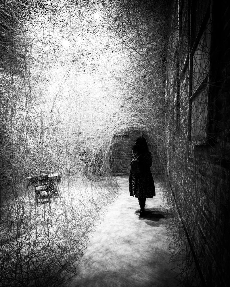 Steenhoudt, Sofie: Into the web