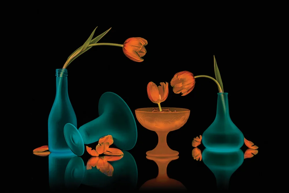 Jacobs, Lydia: Temps de jeu des tulipes