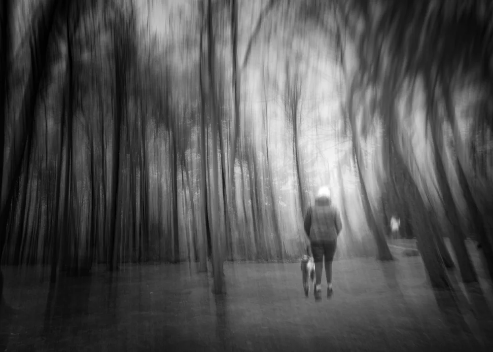 Chen, Jennifer: stroll in the misty woods